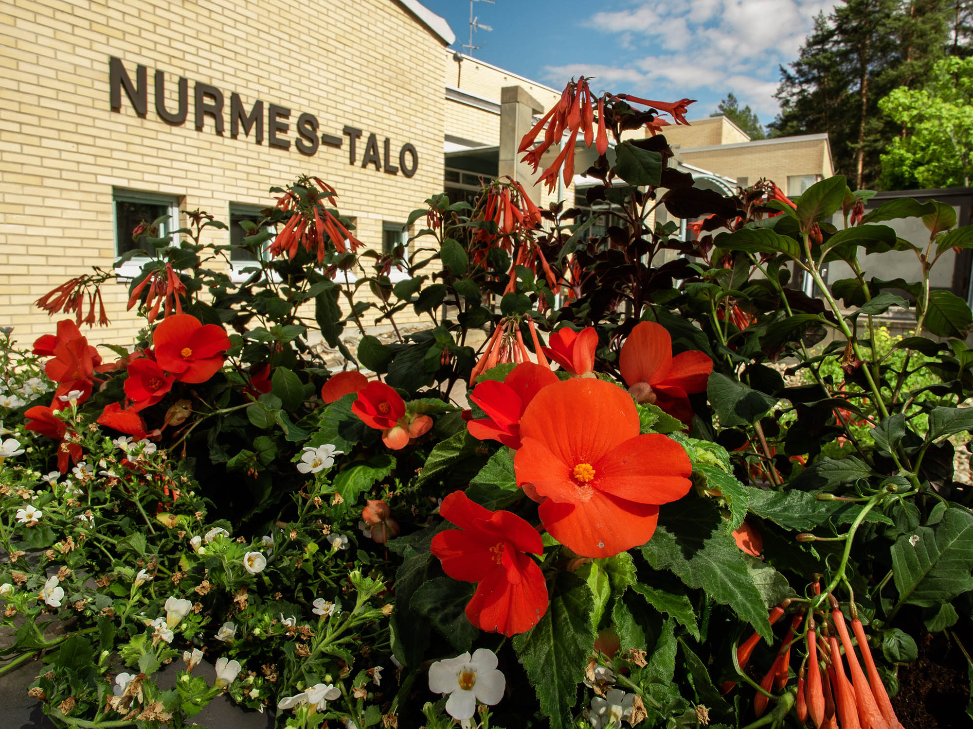 Nurmes-talo